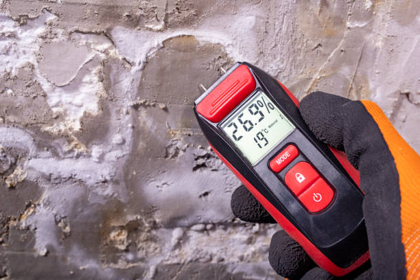 Best Residential Mold Removal  in Hlsboro, IL